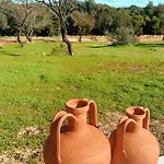 La Quinta Da Liberdade - Ferme De Charme En Algarve Pechao