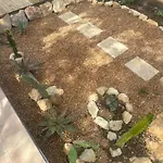 Farm stay La Quinta Da Liberdade - Ferme De Charme En Algarve Pechao