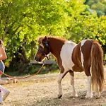 Farm stay La Quinta Da Liberdade - Ferme De Charme En Algarve *