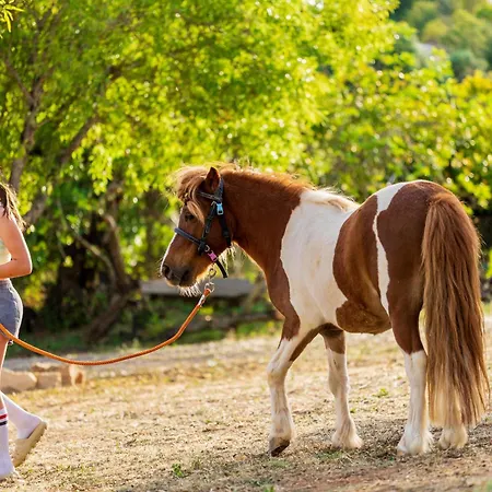 Alloggio per agriturismo La Quinta Da Liberdade - Ferme De Charme En Algarve *