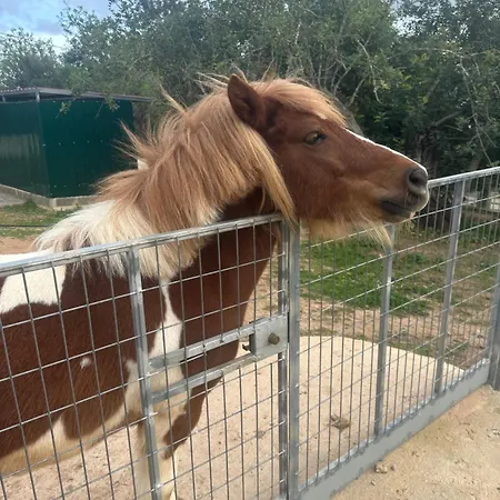 La Quinta Da Liberdade - Ferme De Charme En Algarve Farmház Pechão