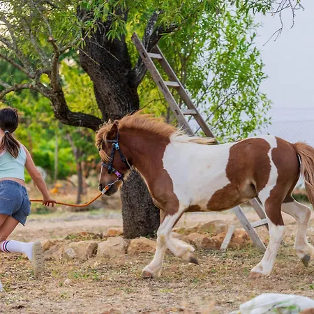 La Quinta Da Liberdade - Ferme De Charme En Algarve