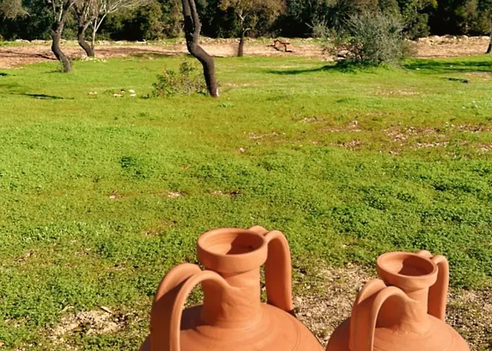 La Quinta Da Liberdade - Ferme De Charme En Algarve Pechao