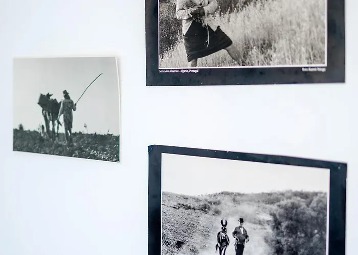 Farm stay La Quinta Da Liberdade - Ferme De Charme En Algarve