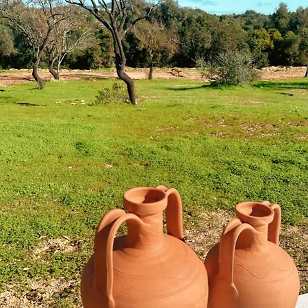 La Quinta Da Liberdade - Ferme De Charme En Algarve Pechao